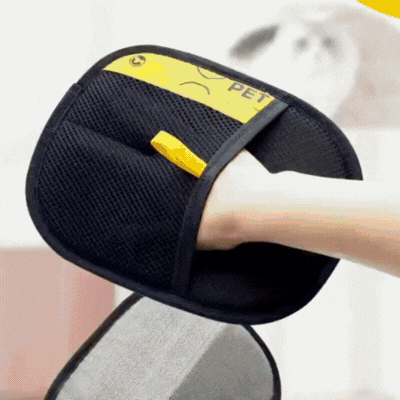 Gant Anti-Poils pour Chat - Canapé, Vêtements, Voiture
