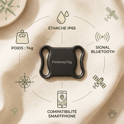 Collier GPS chat suivi en direct